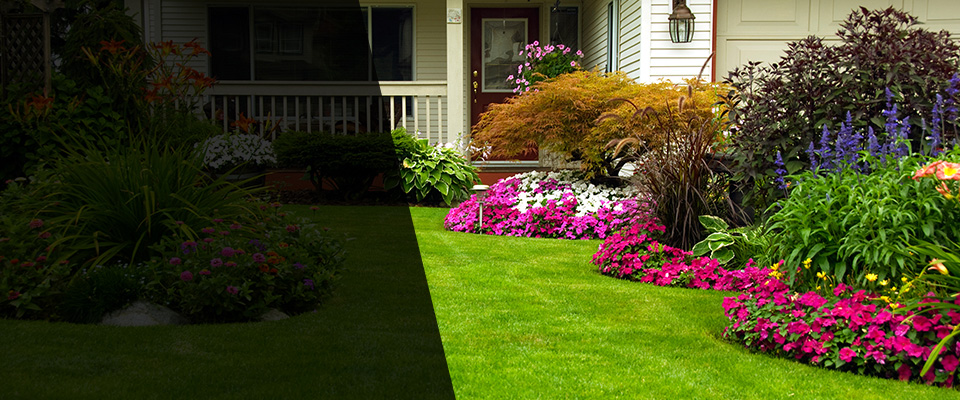 Oakwood Landscapers