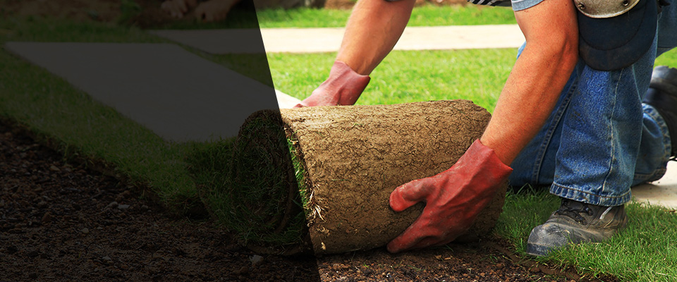 Oakwood Landscapers